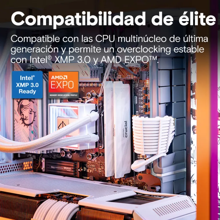 Memoria DDR5 Crucial Pro OC 32GB 2x16GB 6400MHz CL32 EXPO-XMP Blanco